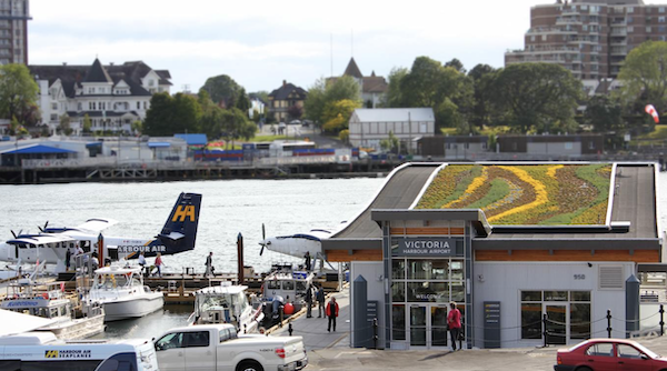 The green roof revolution: Canadian successes and best practices