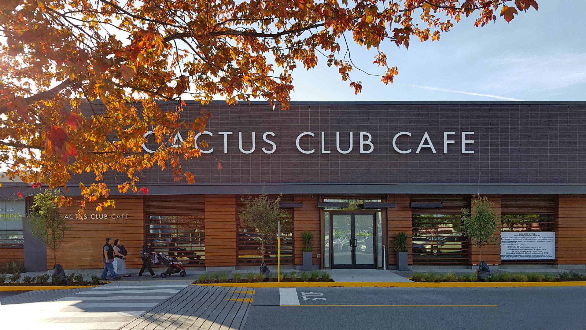 Richmond Centre Retrofit - Cactus Club